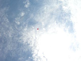 ☆キャッチボール☆