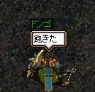 0604.03.JPG