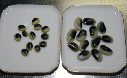 この豆は・・・