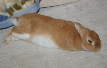 ボクの場所だよ