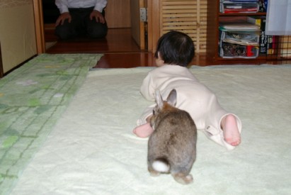 からかってる？