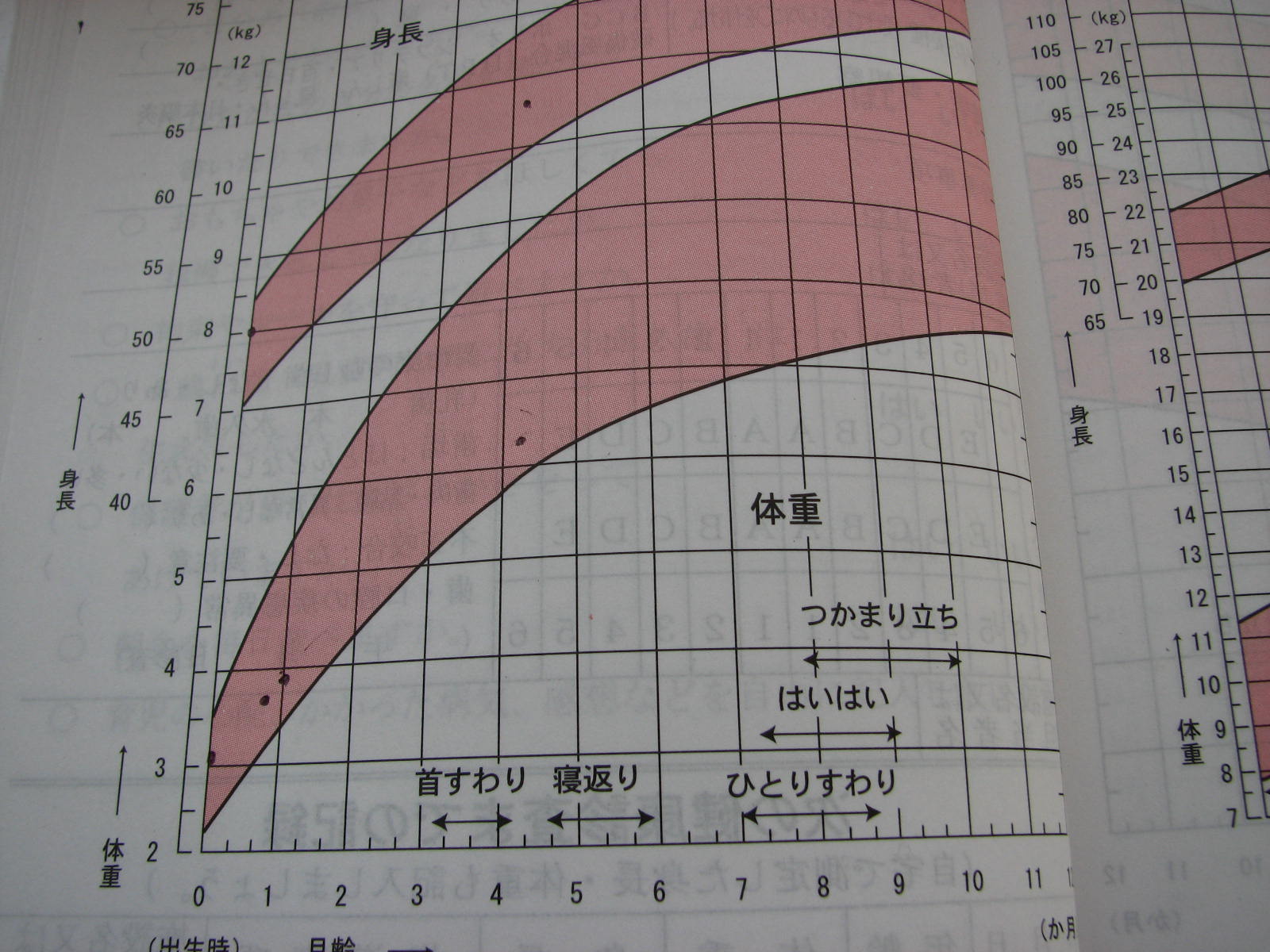 身長体重の推移