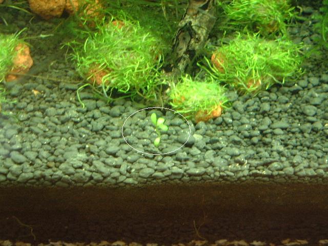 070222 008.jpg