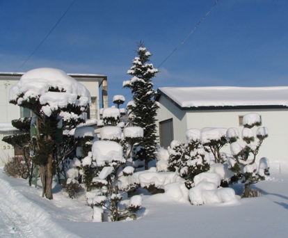 雪に埋もれた北海道の民家