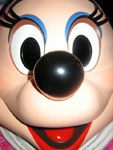 shef4