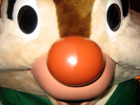 shef4