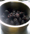 blackberry3
