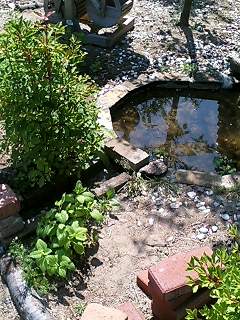 060527_0921~0001.jpg