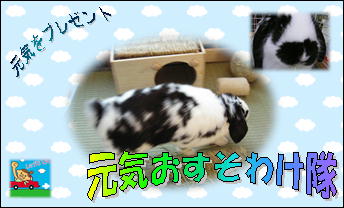 元気お裾分け隊