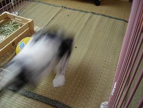 いそがしやぁ～02