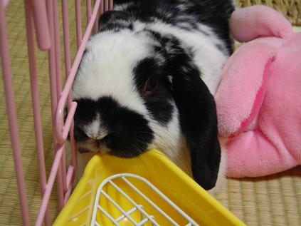 プププ・・・01