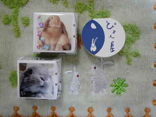 チョコとハンカチぴょん屋