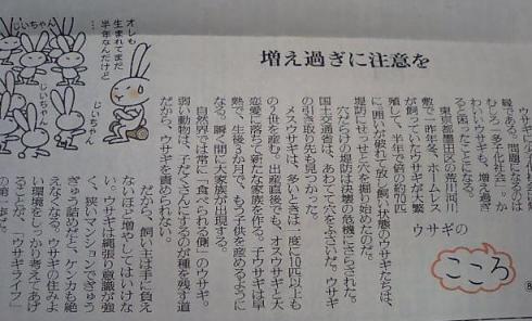 ウサギのこころ