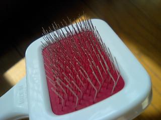ブラシヘッド