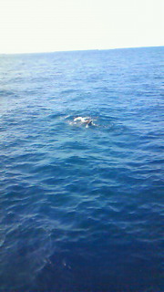 201008250740000.jpg