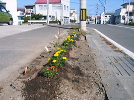 IMG_0538.JPG