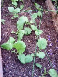070923_1604~01.JPG