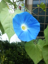 SH3F0053.jpg