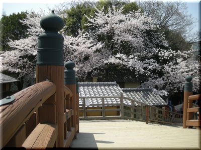 DSCN0496.JPG