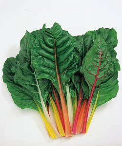 スイスチャード