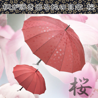 柄が浮き出る蛇の目傘　-桜-