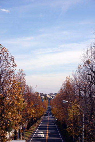 歩道橋から.jpg