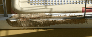 090313b.gif