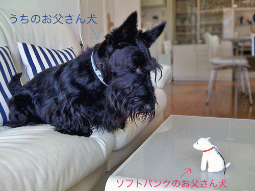 お父さん犬挨拶.gif