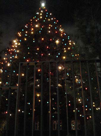 立教大学のクリスマスツリー