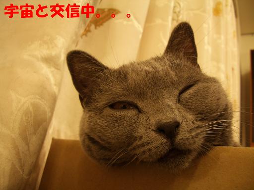 トランス中