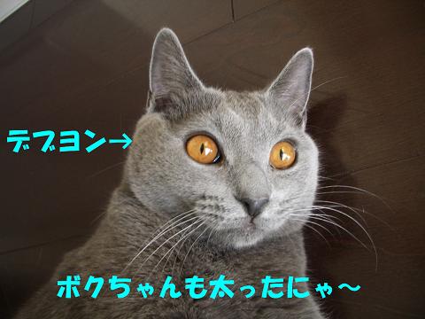 デブヨン