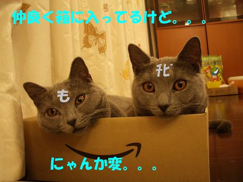 なかよし