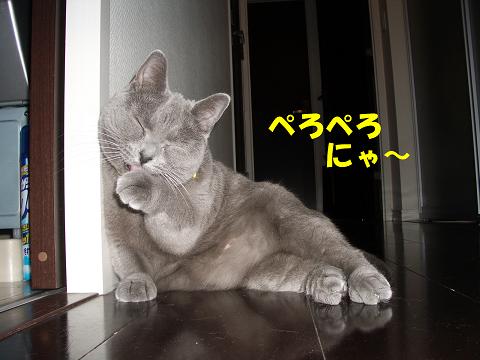 ぺろぺろ