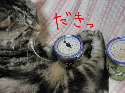 にゃんかっぷ.jpg