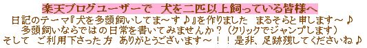 こちらから多頭飼いしてらっしゃるみなさんの日記も読めますよ♪　楽天ブログユーザーで犬を二匹以上飼っている皆様には利用していただけると嬉しいです　日記のテーマ　犬を多頭飼いしてま～す♪を作ったまるそらです　よろしくお願いしま～す