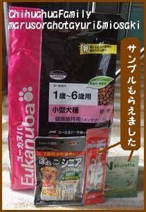 よろず屋ごん太でのお買い物　ユーカヌバメンテナンスとシニア用ほねっこと貰ったサンプル二品♪