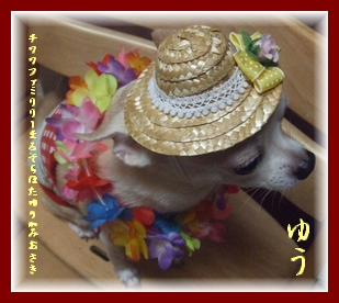 何気に好きな写真★ゆうさん