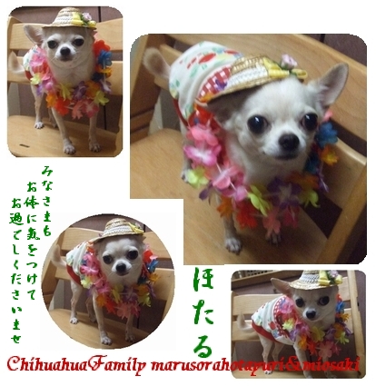 みなさまもお体に気をつけてお過ごし下さい★ほたる