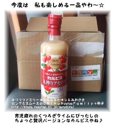 「CALPIS/Natuluce」　カルピス　ナチュルーチェ