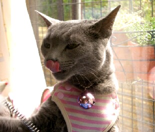 う～ん...満足♪