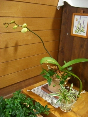 ここに決めた!!