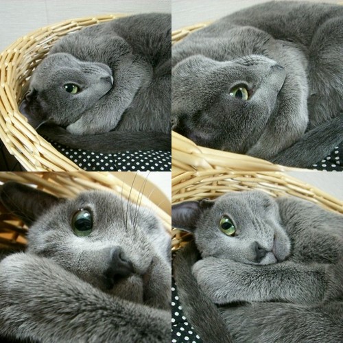 ぐるりん姫ちゃん。