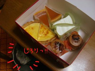 (o゜Д゜o)マッ!!!