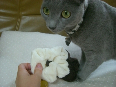 またまた姫登場~。