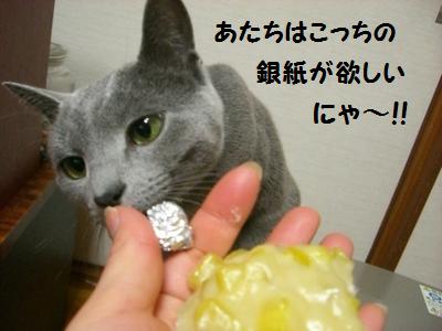銀紙くれ～。