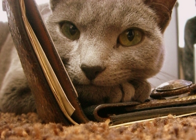 お財布大好き。