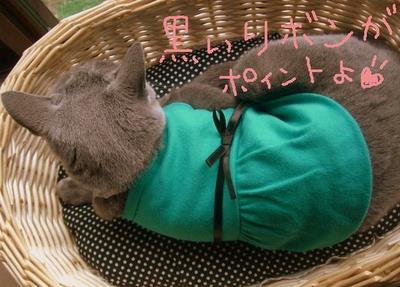 可愛いにゃー。