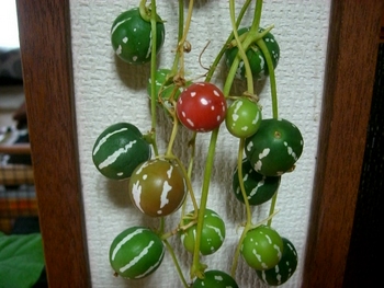 すずめうり～。