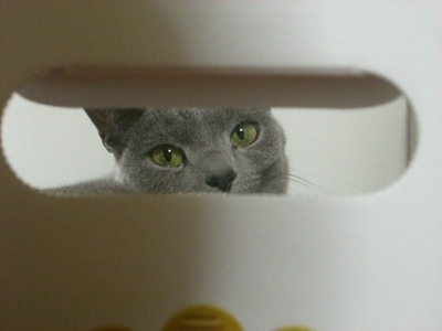 穴から・・・!?