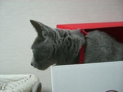 そろそろ・・・・